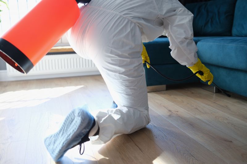 Rat Fumigation Service in Oklahoma City, OK