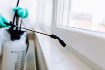 Organic Pest Control, Organic Pest Control, New York